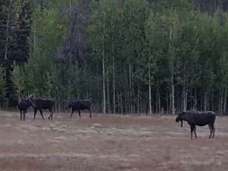 Aspen Campground