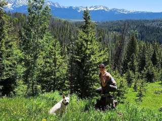 Red and White Mountain - Forest Service Road