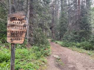 North Cottonwood Creek Camping on Forest Road 365