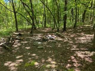 Pinhoti Backcountry Campground near Odum Trail