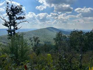 Pinhoti Campsite near Clairmont Gap