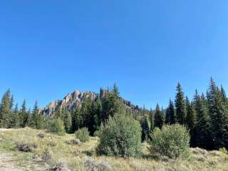 Gunnison National Forest Soap Creek Campground