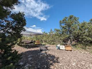 The Bank Campground