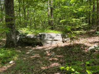 Chinnabee Silent Trail Backcountry Site 1