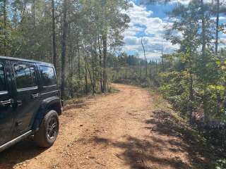 Weogufka State Forest Campsite 2