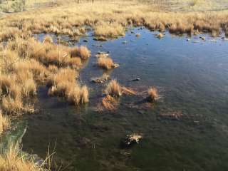 Colorado Sports Ranch and Refuge