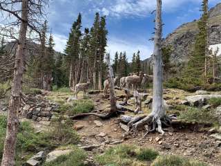 South Colony Basin