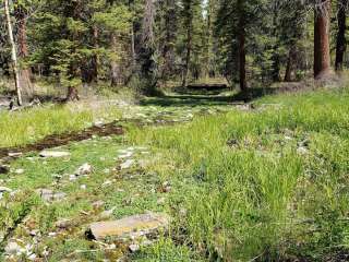 Big Springs Campground