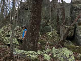 Skyway Loop Campgrounds near Southern Trailhead