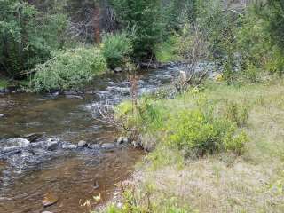 Gunnison National Forest Spruce Campground