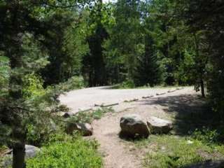 Spruce Group - Lake Isabel