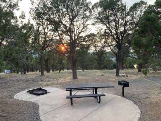 Elk Ridge Campground — Ridgway State Park