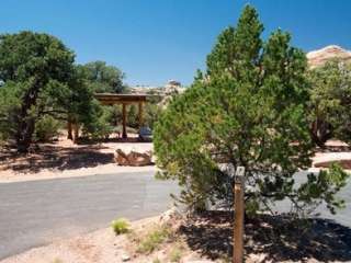 Island In The Sky (Willow Flat) Campground — Canyonlands National Park