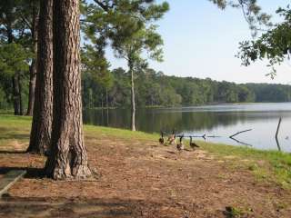 Payne Lake Spillway