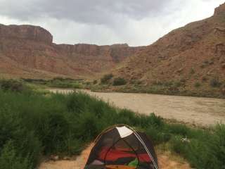 Big Bend Group Sites