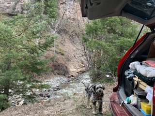 County Road 14, Dexter Creek Backcountry