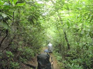 Davenport Shelter — Great Smoky Mountains National Park