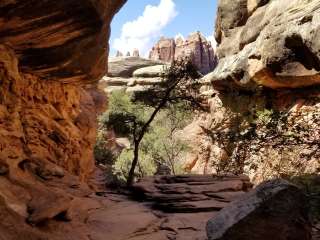 Chesler Park 2 (CP2) campsite in The Needles District — Canyonlands National Park