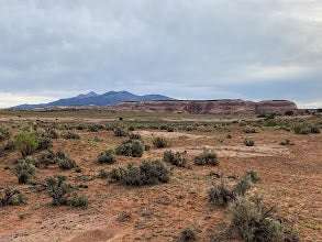 Looking Glass Road (Dispersed)