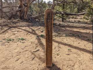 SQ1 (Squaw Canyon) — Canyonlands National Park