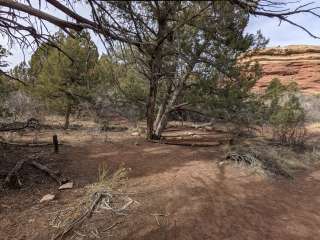 BS2 (Big Spring) — Canyonlands National Park