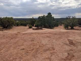 BLM Mineral Point Dispersed Camping Area