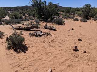 BLM Intrepid Well Road Dispersed Camping