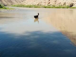 BLM Ledges Cottonwood Campground