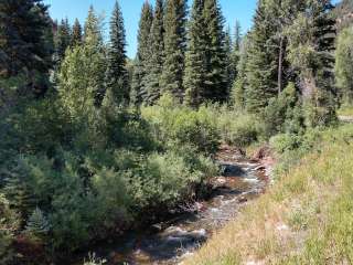 Fall Creek Campsite