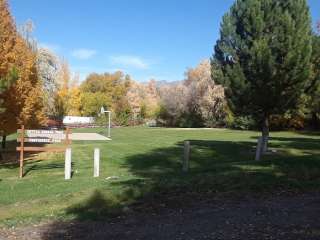 Cattle Guard Park