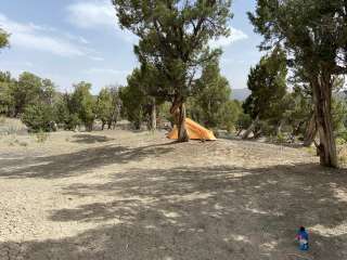 BLM across from Mesa Verde 