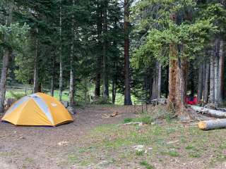 Lizard Head Pass Dispersed Camping