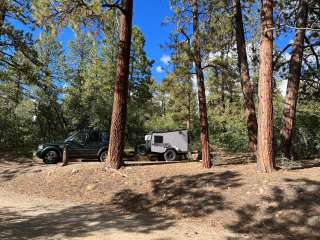 Target Tree Campground