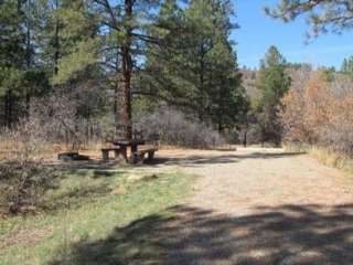 Target Tree Campground