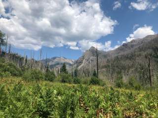 Rainbow Hot Springs