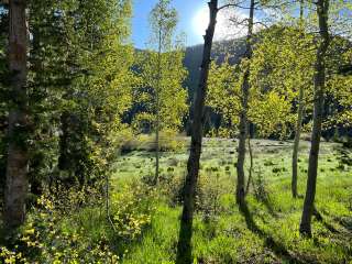 Tucker Ponds Campground