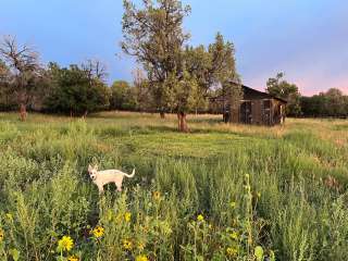 Fourth Sister Farm