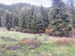 Rio Grande National Forest Lake Fork Campground