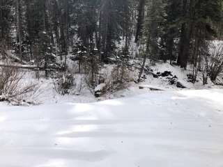 Roche Gulch near Delores River