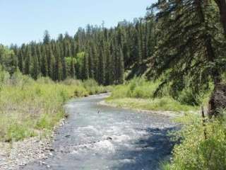 Blanco River Group Campground