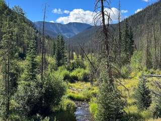 Ivy Creek Campground