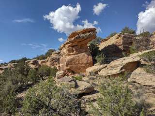 Canyon of the Ancients Dispersed Camping