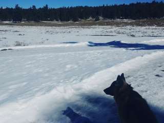 Saul’s Creek Campground