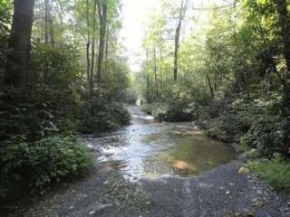 Pisgah National Forest Cove Creek Group Campground