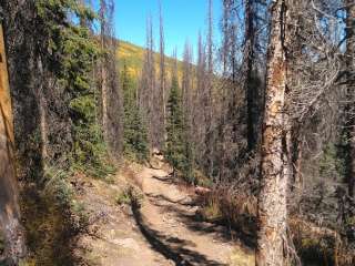 West Frisco Trailhead #850