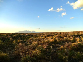 Secluded Star Gazer Campsite Near Great Sand Dunes National Park