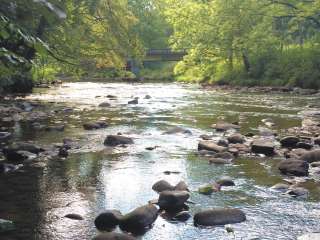 Peaceful Cove Campground