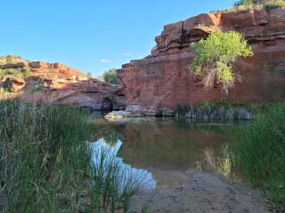 Two Buttes Reservoir State Wildlife Area