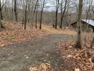 Ward Pound Ridge Reservation