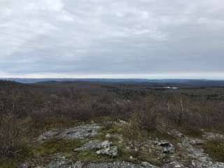 Laurel Ridge — Mount Everett State Reservation